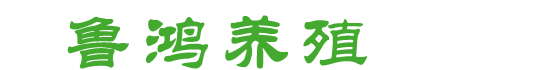 江蘇阜大電力設備